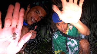 5,000 PESOS  PAG MAY 50 PCS GAGAMBA KA SUBRANG MAHAL NG GAGAMBA NGAYON