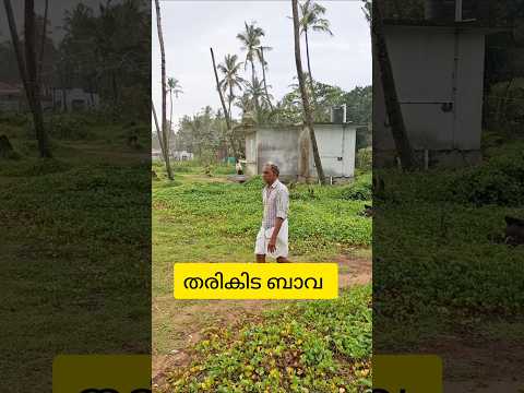 തരികിട ബാവ#shorts#comedy#malayalam