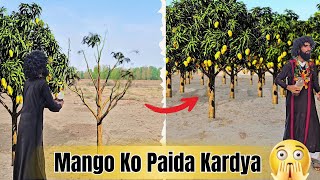 Mango Kese Paida Hogya 😳😱