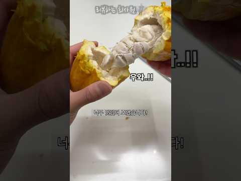 카카오 열매로 초콜릿 만들기! #카카오를 #때리면 #카카오톡