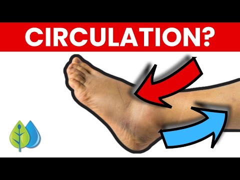 6 Easiest Exercises To Instantly Improve Leg Circulation