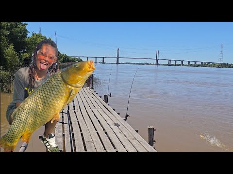 TREMENDA PESCA DE ESTE MUELLE! 🎣🎣🔥