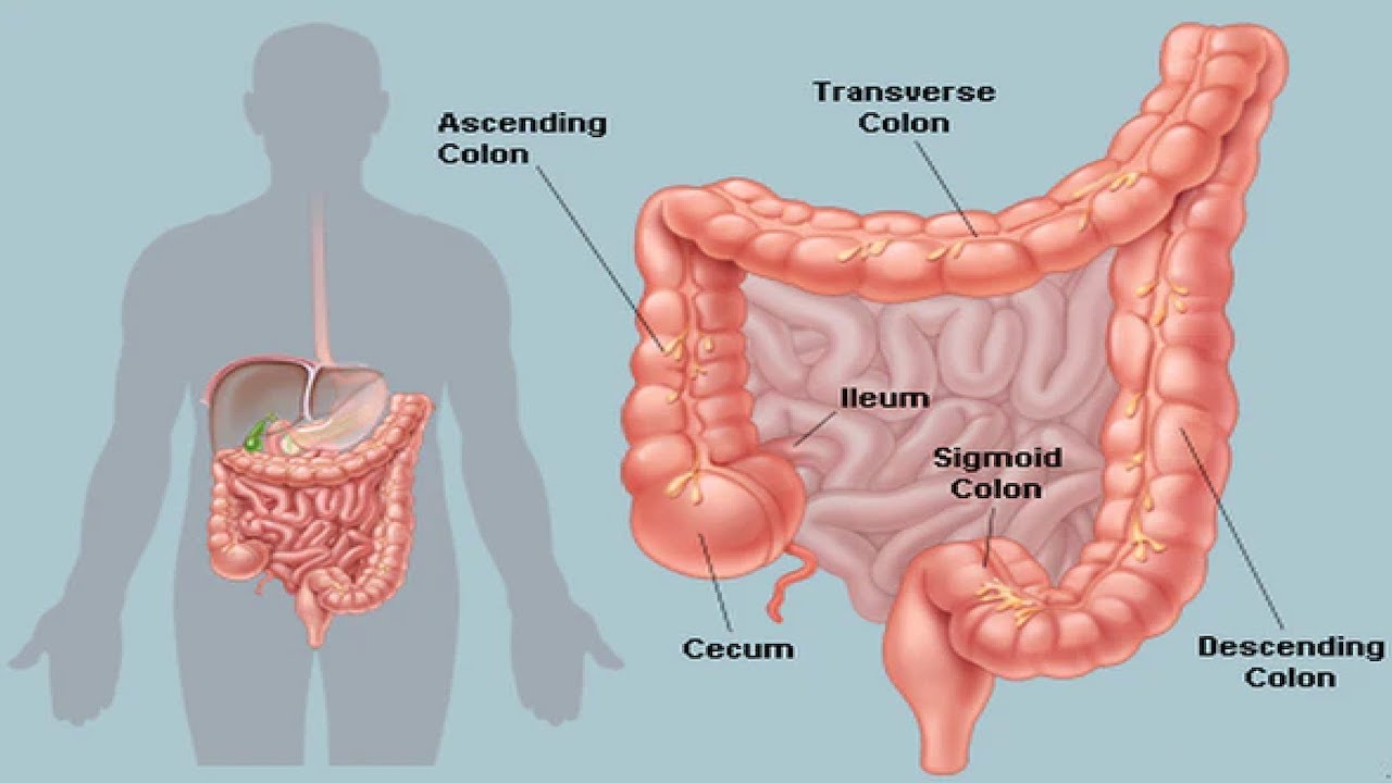 8 Natural Remedies That Will Clean Your Colon Effectively!￼