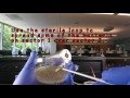 Bacterial Handling and Streaking Techniques