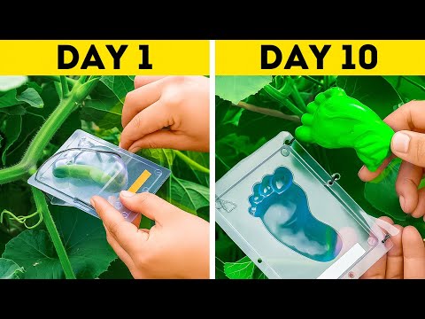 Grow AMAZING Veggies and Plants in Your Garden Now!