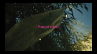 Muzejní plácek 2024