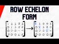 Matrix Transformations and Echelon Forms