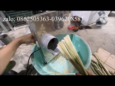 máy thái sả , máy say nhiễn đa năng ( zalo 0396208583-0862505363