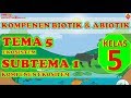 Komponen Ekosistem dan Interaksinya