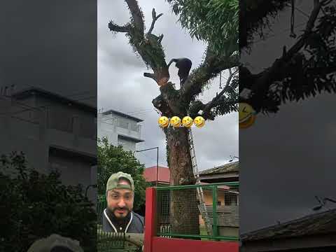 Rambo en tiempos de hambre 🤣🤣🤣🤣