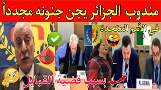 مندوب الجزائر يجن جنونه مجدداً في الأمم المتحدة بسبب قضية القبايل المتحلة من الجزائر |و المغرب يعترف