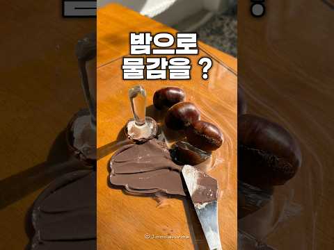 밤으로 물감을 만들면?🌰