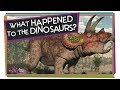 Dinosaur Extinction Theories and Effects