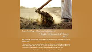 Shaykh Muhammad alShareef's Legacy