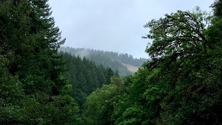 St. John's Phonetheon - Chì Mi Na Mòr Bheanna
