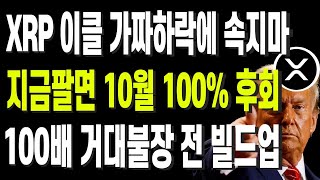 XRP 이클 가짜하락에 속지마 지금팔면 10월 100% 후회 100배 거대불장 전 빌드업