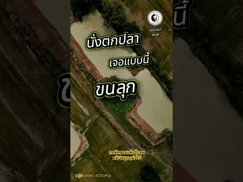 นั่งตกปลาอยู่เจอแบบนี้ขนลุก #fishing #ตกปลา #ตกปลาหน้าดิน #ตกปลากระพง