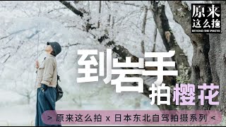 到岩手看满开的樱花！走一段古寺和花交织的彼岸｜#原来这么拍 第259集