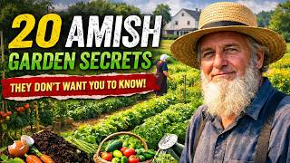 20 Amish Garden Secrets the World Doesn’t Know About