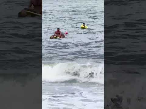 Lifeguards Rescue Deer Swept Out to Sea