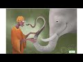 Understanding the Blind Men and the Elephant