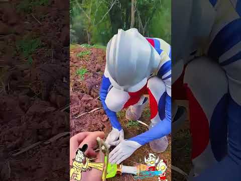 Ultraman Tiga bị đuổi khỏi nhà #shorts #ultraman #ultramanfunny