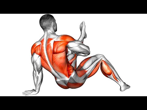 Calisthenics Exercises for Building Muscle and Increasing Strength