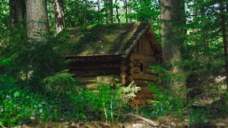 Overnight in a Small Cabin in the Forest. Video for Falling Asleep Fast. ASMR