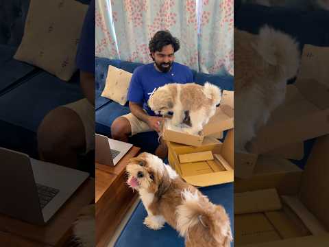 Surprised My Husband with a Laptop Stand… His Reaction? 😂📦| Gowti Sowbi❤️❤️
