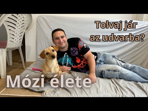 TOLVAJ JÁR AZ UDVARBA | Mózika élete 5. rész