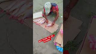 Una Cultura Que Jamás Se Perderá #pesca #cartagenadeindiascolombia