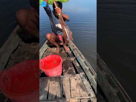 Boy Catch Fish In Rain With Bamboo Crossbow Fishing /Fishing. (part -95) #shorts #fish #jumping