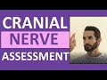 Cranial Nerve Assessment Techniques