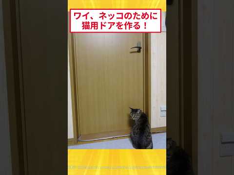 ドアに穴開けて猫用ドア設置するで!#2ch面白いスレ