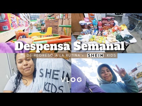 ORGANIZACIÓN DEL GASTO💸 | ROPA NUEVA PARA LOS NIÑOS🩷 #SHEINtrends ✨️