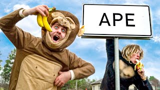 Welcome to Ape Town