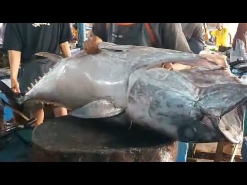Keterampilan bang Dandi Potong tuna Raksasa pesanan warung makan ikan bakar