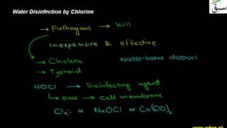 Water Disinfection by Chlorine