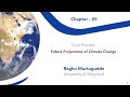 Climate Change and Emission Strategies