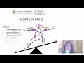 Homeostasis and Feedback Mechanisms