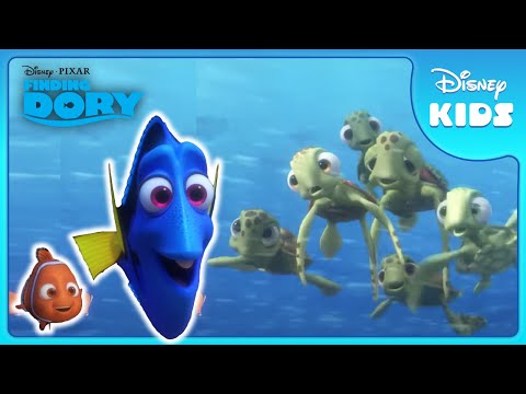 🌎 Exploring the Open Ocean! | Finding Dory | Disney Kids