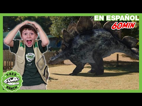 Dinosaurios hervivoros 🦕 | Videos de dinosaurios y juguetes para niños