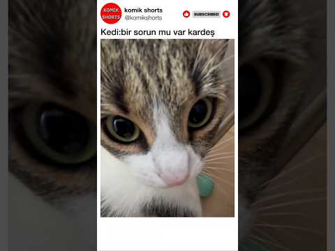 komik Instagram yorumları 991 #shorts #mizah #komik #komedi #reels #keşfet #instagram