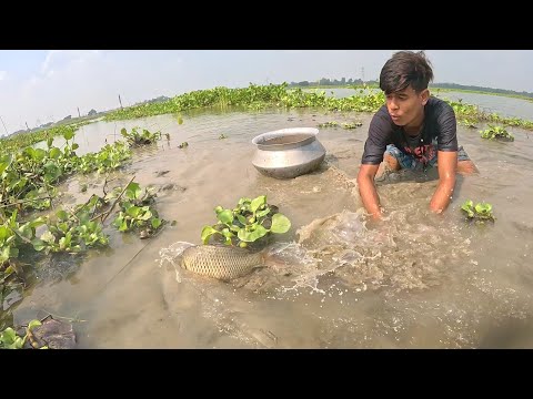 OMG!Boy Hand Fishing|Village River Water Hand Fishing Video|