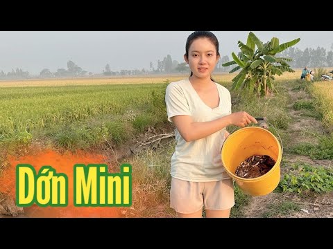 Cô Gái Quê ✅ Thăm Dớn Mini nước Vừa Rút Chạy Cá Thấy Ham