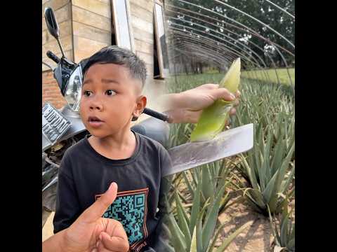 #pov #skit #tools #funny #acting #fyp#foryoupage #fyp シ #viral #foryou #story