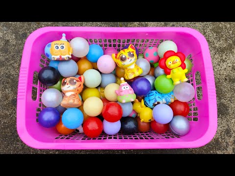 Ayo!!! bermain lempar bola