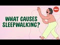 Understanding Sleepwalking