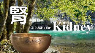 319.88Hz Kidney Frequency 腎臟 共振頻率 | Tibetan Singing Bowl Healing Sound 頌缽療癒音頻  | EP557