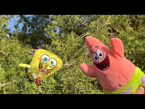 SpongeBob Happy Adventures/ Tree Climbing Fun!